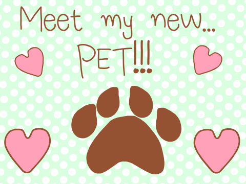 Meet my new pet!