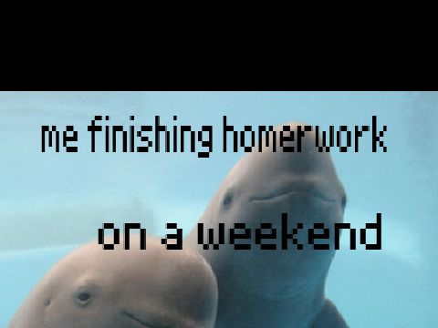 Yangtze finless porpois memes#1