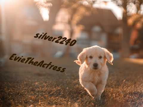 Sign if you love dogs!! REMIX