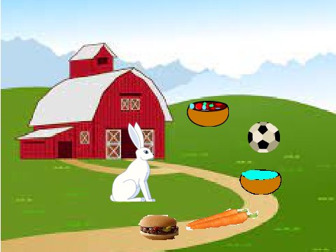 My pet bunny