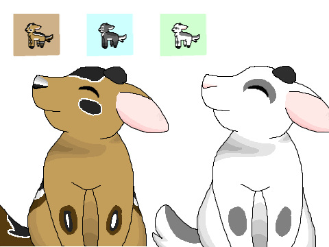 Animations & Art