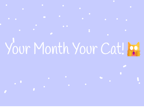 Your month your cat!