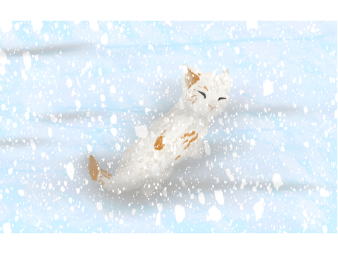 Kit in the Snow