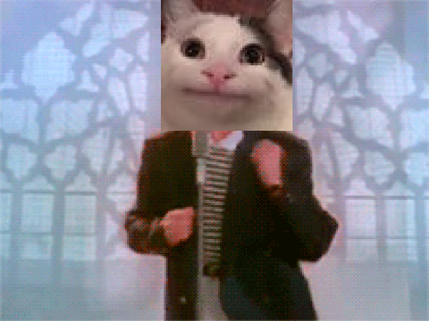 Rickroll XX beluga cat