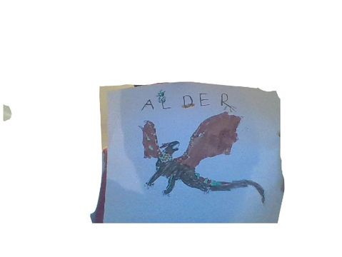 Alder
