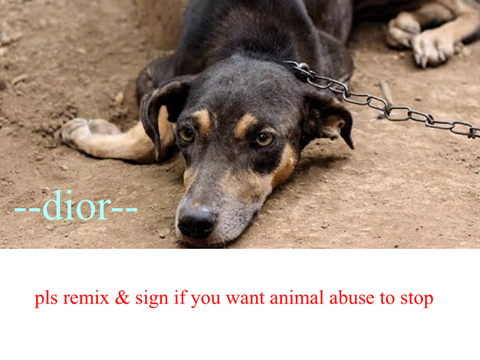 Sign if you want animal abuse gone