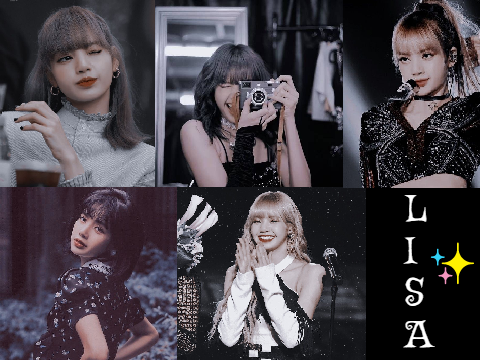 A page of Lisa Aesthetic!!