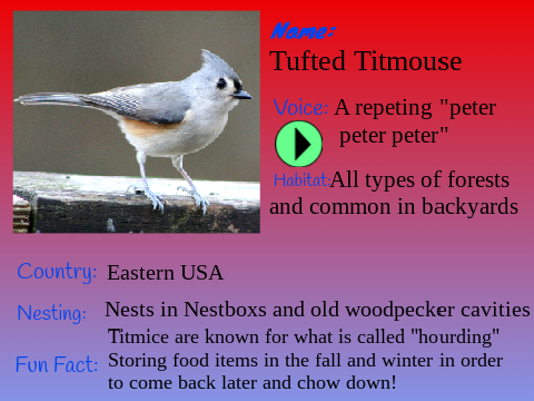 Tufted Titmouse / New B.O.S Event! (July - 2022)  remix