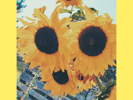 .·:*¨༺ ༻¨*:·.