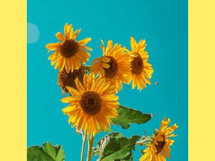 .·:*¨༺ ༻¨*:·.
