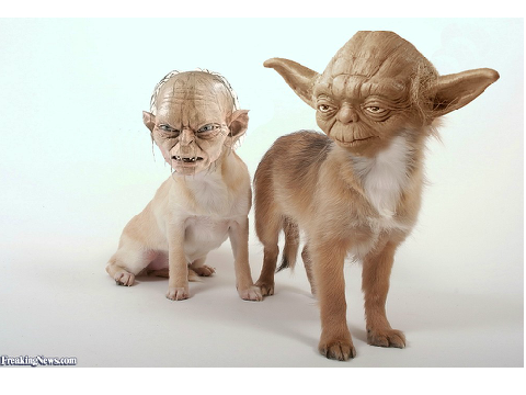 Star Wars/Lord Of THe Rings