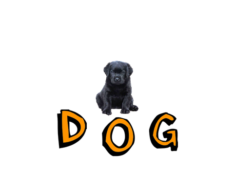you must see this thing