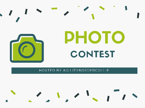 PHOTO CONTEST ENTRY 