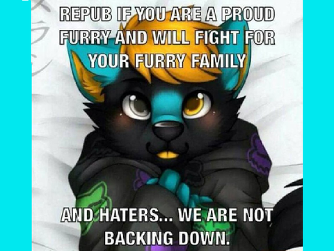 Repost if your a furry! remix number 199772385678625672567