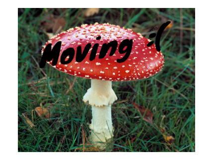 Moving.(last.project.ever.)
