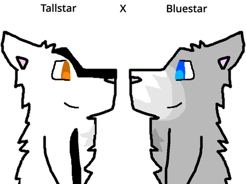 Warriors Ship Generator (Fixed Tallstar's Look!)