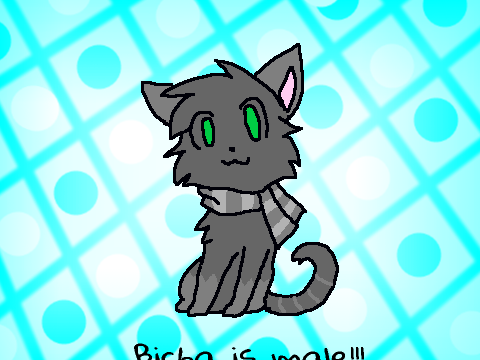 Bicha (my old cat) is Classic!!!