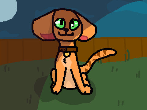 Kittypet CC 