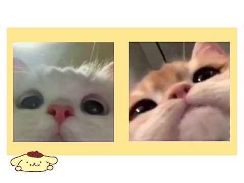 Matching pfp ideas eeee