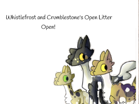 Morning Song ~ an EWCRP litter