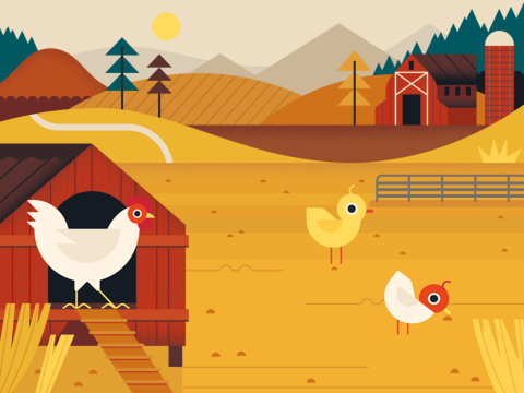 The Chicken Family