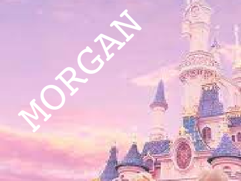 #04 MORGAN