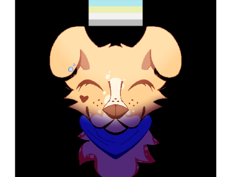 PRIDE DTAE 