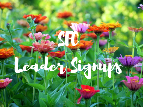 SFC September '22 (co-)Leader Signups