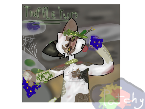 Arts of warrior cats