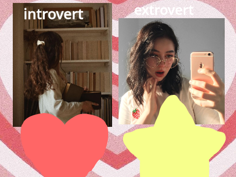 are you an introvert or extrovert? ┊͙ ˘͈ᵕ˘͈