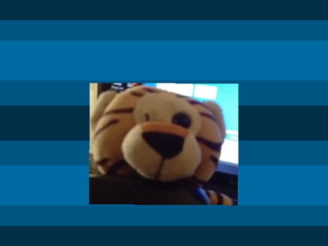 Tigerie Clicker!