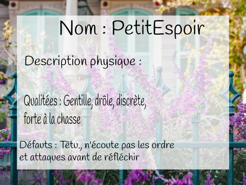 Présentation: Petite Espoir 