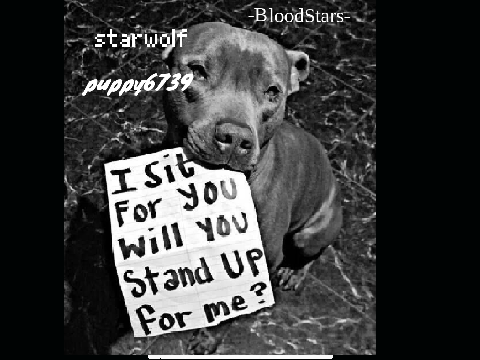 Remix and sign if you hate animal cruelty!!  remix remix