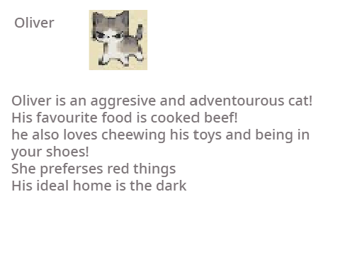 Adopt a cat / kitten |Adoption centre for cats | Cats available!