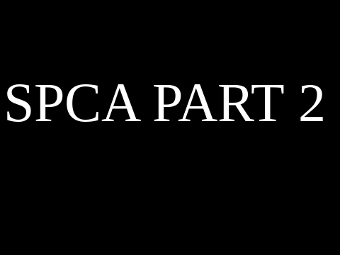 SPCA part 2 - an animation 