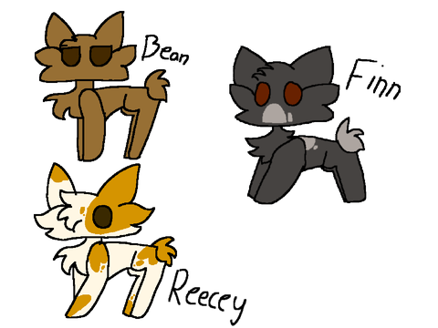 BUNNYCATS