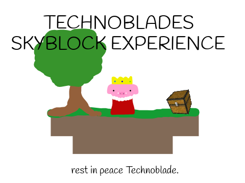 Technoblade's Skyblock Experience