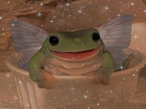 ☆