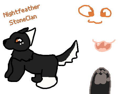 Nightfeather ref & bio