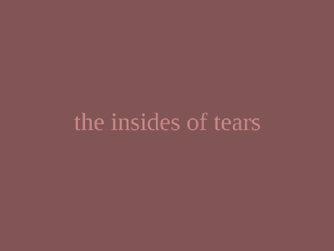 || the insides of tears - original ||