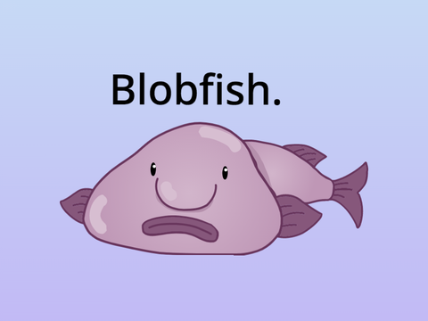 Blobfish.