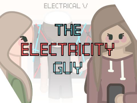 THE ELECTRICITY GUY - 