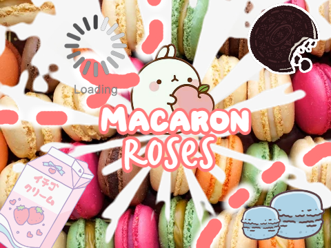Macaron Roses