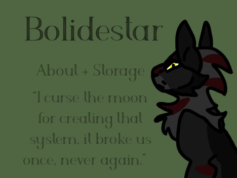 Bolidestar | about + storage