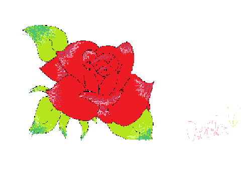Rose- First Tablet Drawing