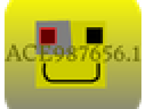 ACE987656`S  new LOGO