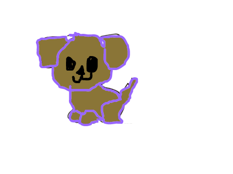 cute dog