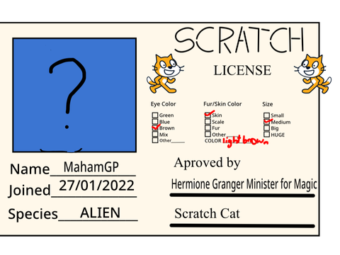 Make Your Own Scratch License remix