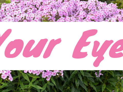 || Your Eyes || Gacha Meme ||