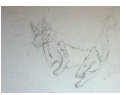 kitty cat poses